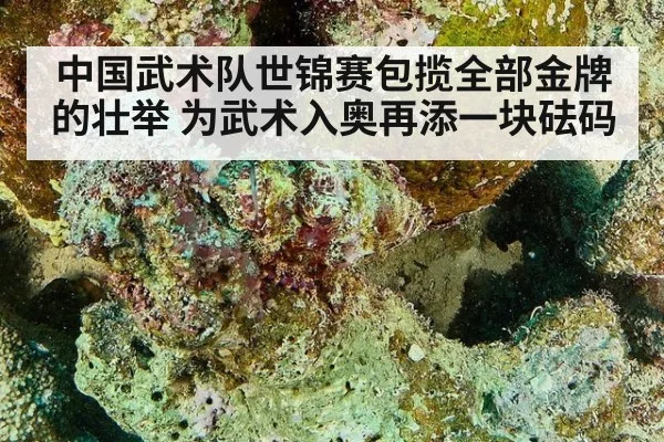 中国武术队世锦赛包揽全部金牌的壮举 为武术入奥再添一块砝码